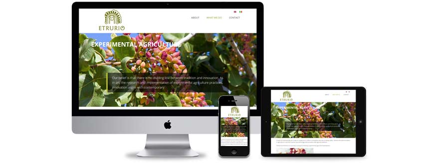 Website design for a Tuscan olive oil company