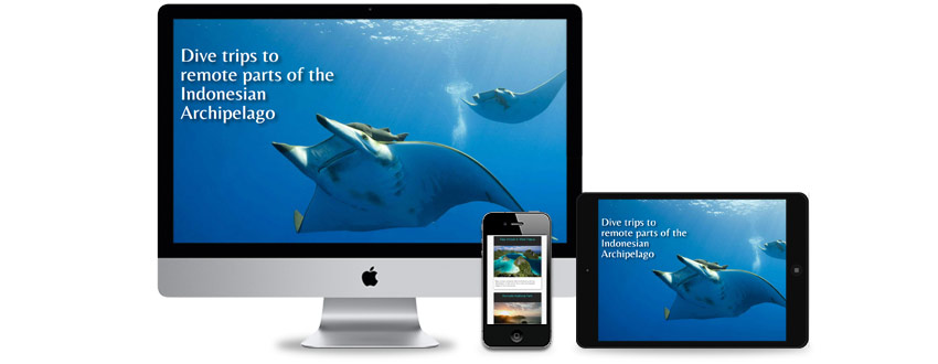 Website design and SEO for a scuba diving company