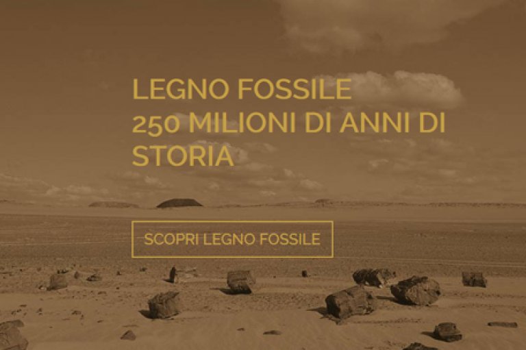 Website design for luxury products – Fossil Wood, Trentino, Italy